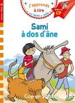 Sami à dos d'âne vignette