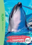 Expédition au pays des dauphins vignette